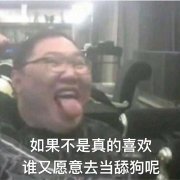 如果不是真的喜欢，谁又愿意去当舔狗呢（PDD）