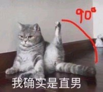 我确实是直男（猫咪90度劈腿）