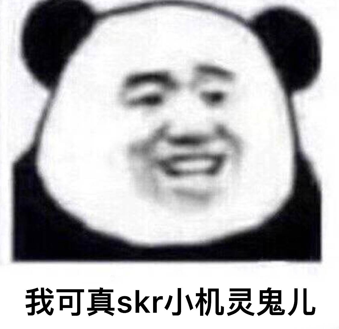 我可真skr小机灵鬼儿