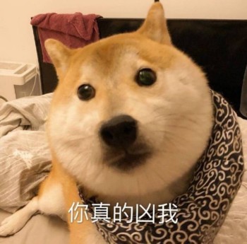 你真的凶我（doge狗子）