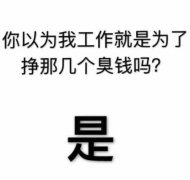 你以为我工作就是为了挣那几个臭钱吗？是