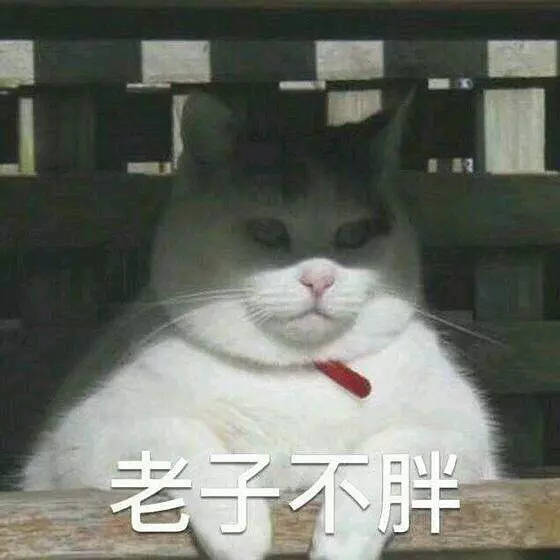 老子不胖（胖猫自我麻痹）