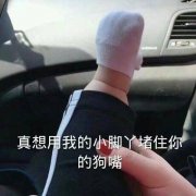 真想用我的小脚丫堵住你的狗嘴