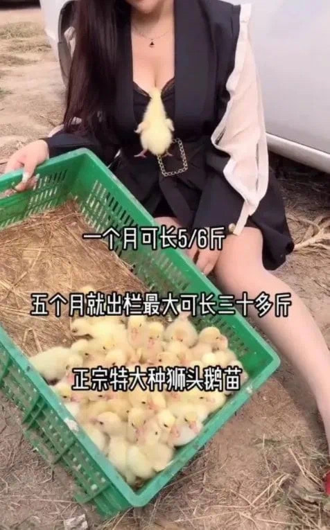 轻松一刻:2022年的第一次,就这么没了 轻松一刻:2022年的第一次,就这么没了