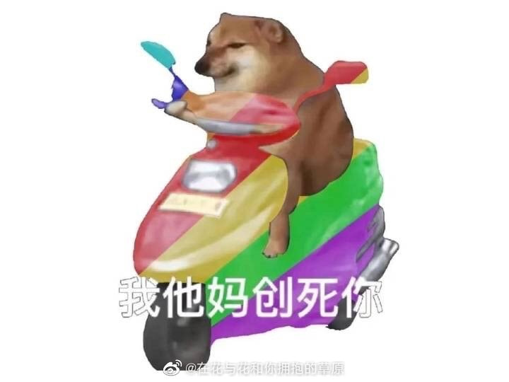 轻松一刻:2022年的第一次,就这么没了 轻松一刻:2022年的第一次,就这么没了