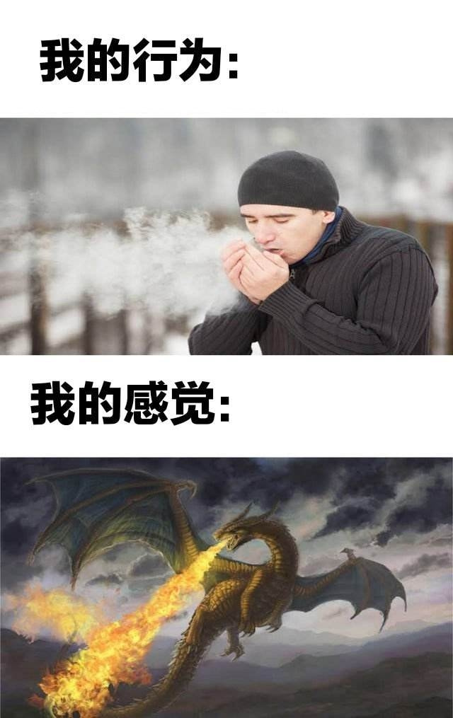 轻松一刻:2022年的第一次,就这么没了 轻松一刻:2022年的第一次,就这么没了