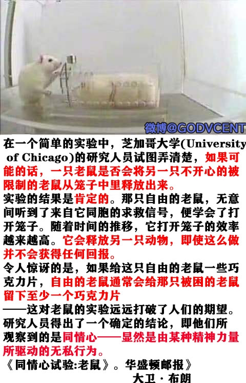 轻松一刻:2022年的第一次,就这么没了 轻松一刻:2022年的第一次,就这么没了