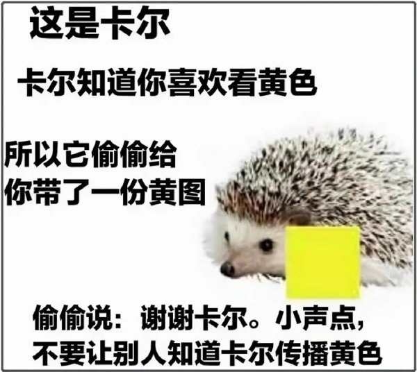 轻松一刻:2022年的第一次,就这么没了 轻松一刻:2022年的第一次,就这么没了