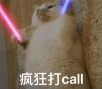 疯狂打call（猫咪）