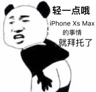 轻一点哦， iPhone Xs Max的事情 就拜托了!