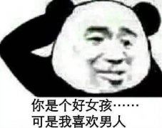 你是个好女孩.....可我喜欢男人（熊猫头）