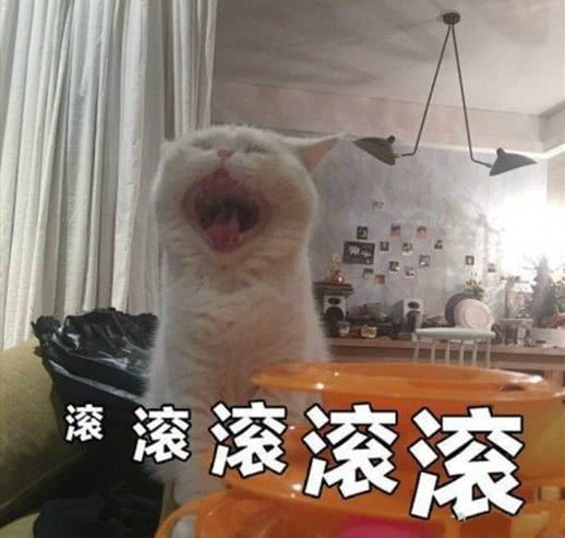 滚（猫咪呐喊）