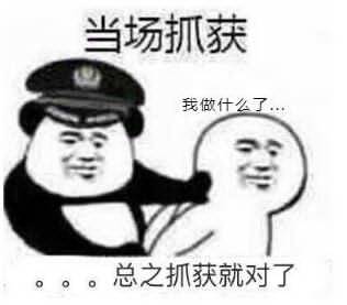 当场抓获，我做什么了...总之抓获就对了