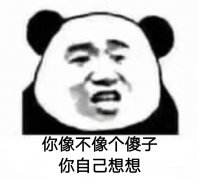 你像不像个傻子？你自己想想！