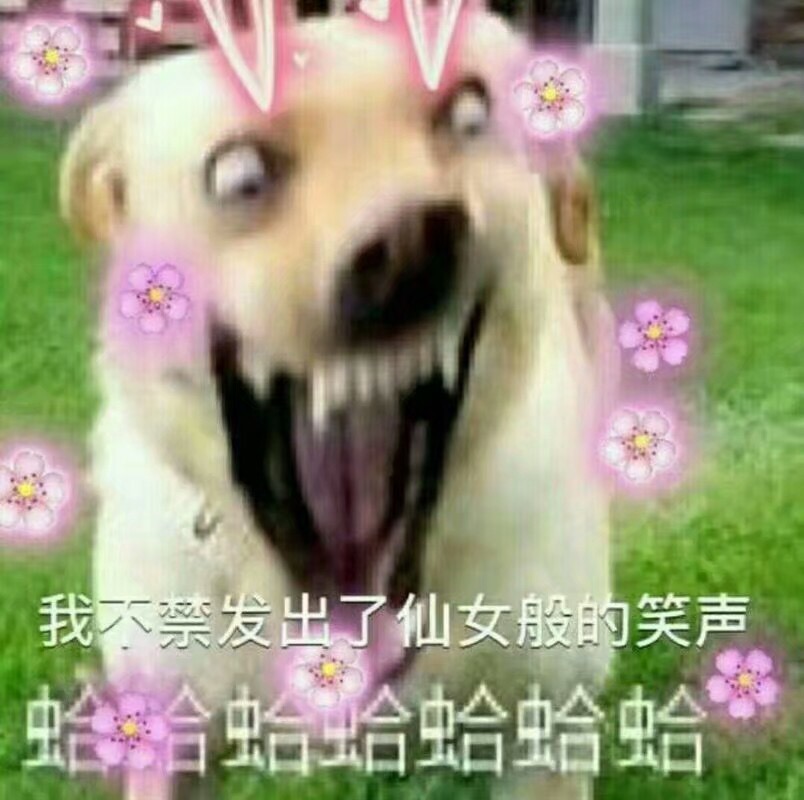 我不禁发出了仙女般的笑声  哈哈哈哈