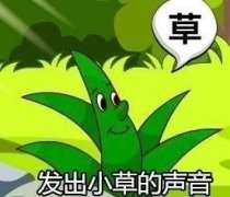 发出小草的声音：草（操）