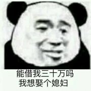 能借我三十万吗？我想娶个媳妇