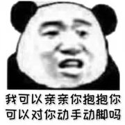 我可以亲亲你抱抱你可以对你动手动脚吗