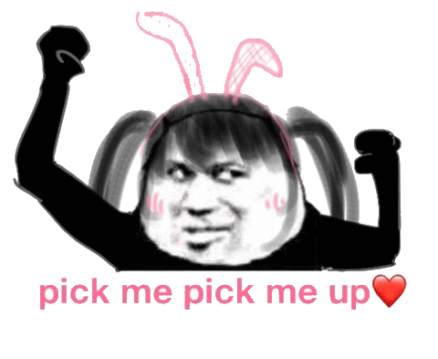pick me pick me up(选我选我)