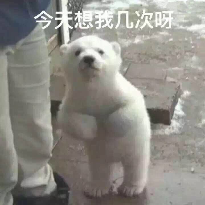 想我几次呀