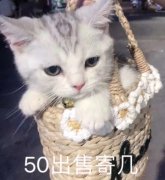 50出售寄几