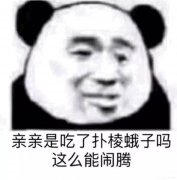 亲亲是吃了扑棱蛾子吗 这么能闹腾（熊猫头）