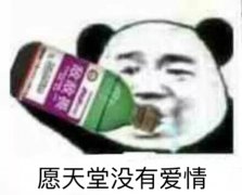 愿天堂没有爱情（熊猫头喝敌敌畏）