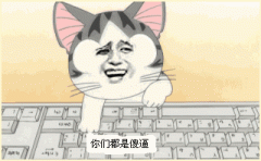 你们都是傻逼（变脸猫按键盘 GIF）