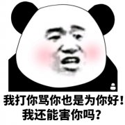 我灯打你骂你也是为你好!我还能害你吗?(熊猫头)