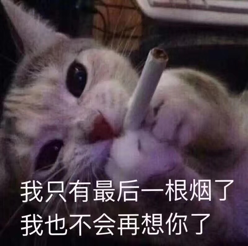 我只有最后一根烟了我也不会再想你了(猫咪抽烟)