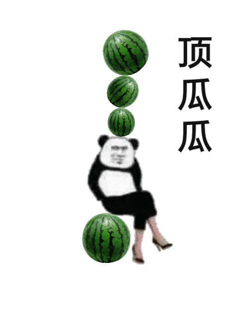 顶瓜瓜 熊猫头头顶大西瓜