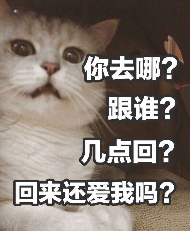 你去哪？跟谁？几点回？回来还爱我吗？（猫咪）