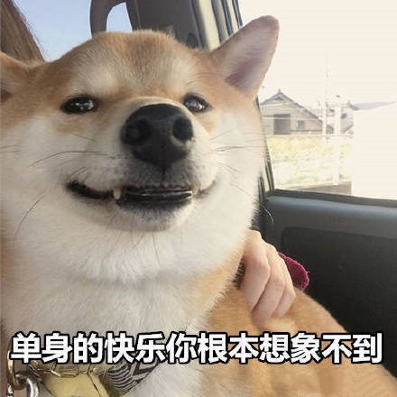 单身的快乐你根本想象不到（doge）