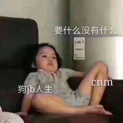 要什么没有什么cnm狗jb人生(权律二)