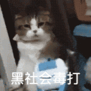 黑社会毒打(猫咪打拳 GIF 动图)