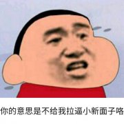 你的意思是不给我拉逼小叶面子(蜡笔小新)