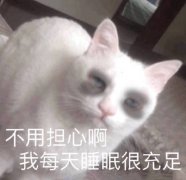 猫咪黑眼圈：不用担心啊，我每天睡眠很充足