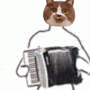 猫咪拉手风琴动图