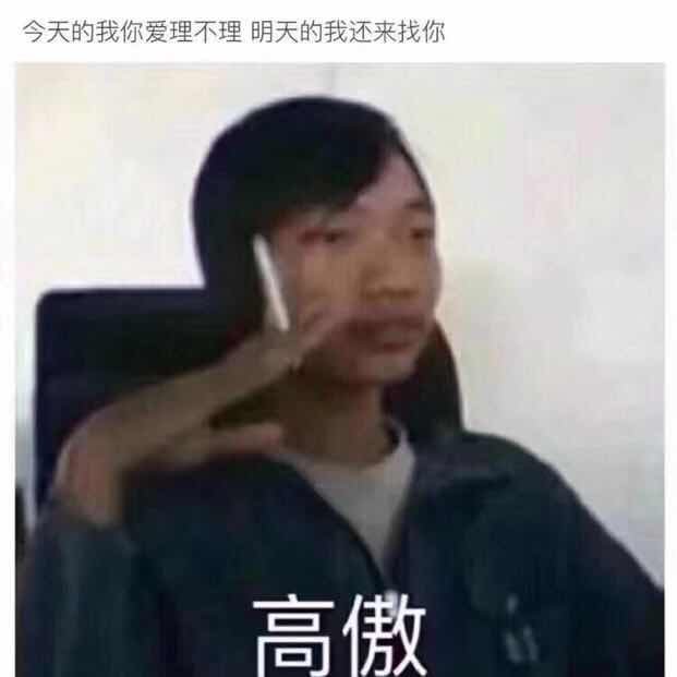 今天的我你爱理不理，明天的我还来找你！高傲