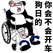 熊猫头坐轮椅：狗日的，你会不会开车