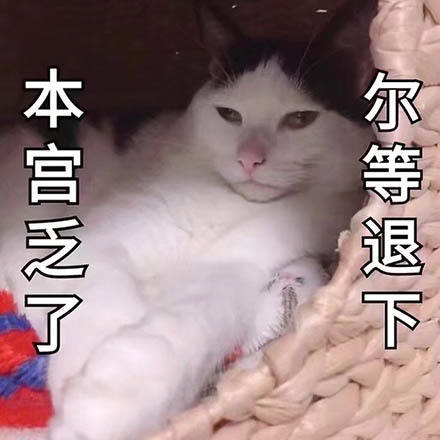 本宫乏了，尔等退下（猫咪）