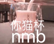 nmb （你猫杯 星巴克猫爪杯）