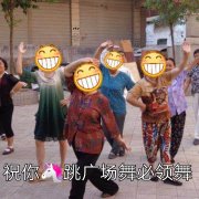 祝你妈跳广场舞必领舞