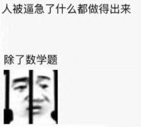 人被逼急了什么都做的出来，除了数学题（高清版）