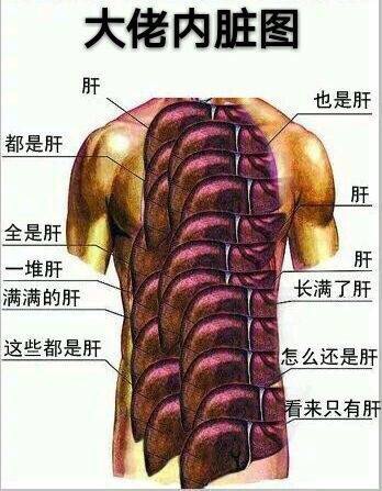 大佬内脏图：都是肝