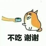 不吃狗粮，谢谢