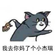 我去你妈个小杰瑞