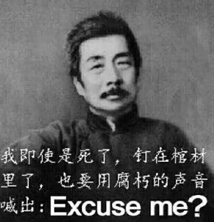 我即使是死了，钉在棺材里了，也要用腐朽的声音喊出：Excuse me ?