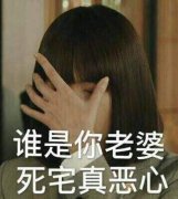 谁是你老婆，死宅真恶心