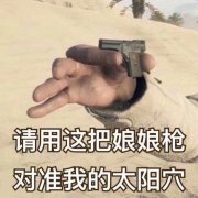 请用这把娘娘枪对准我的太阳穴